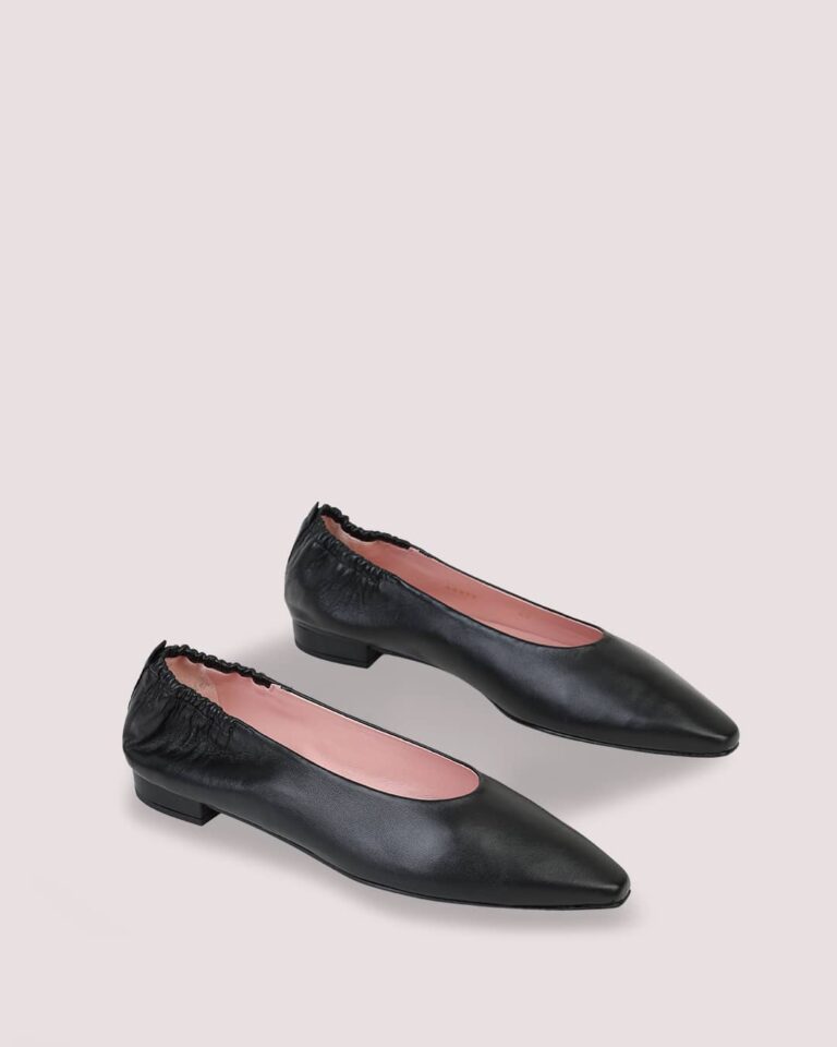 Coton negro-1